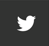 twitter logo